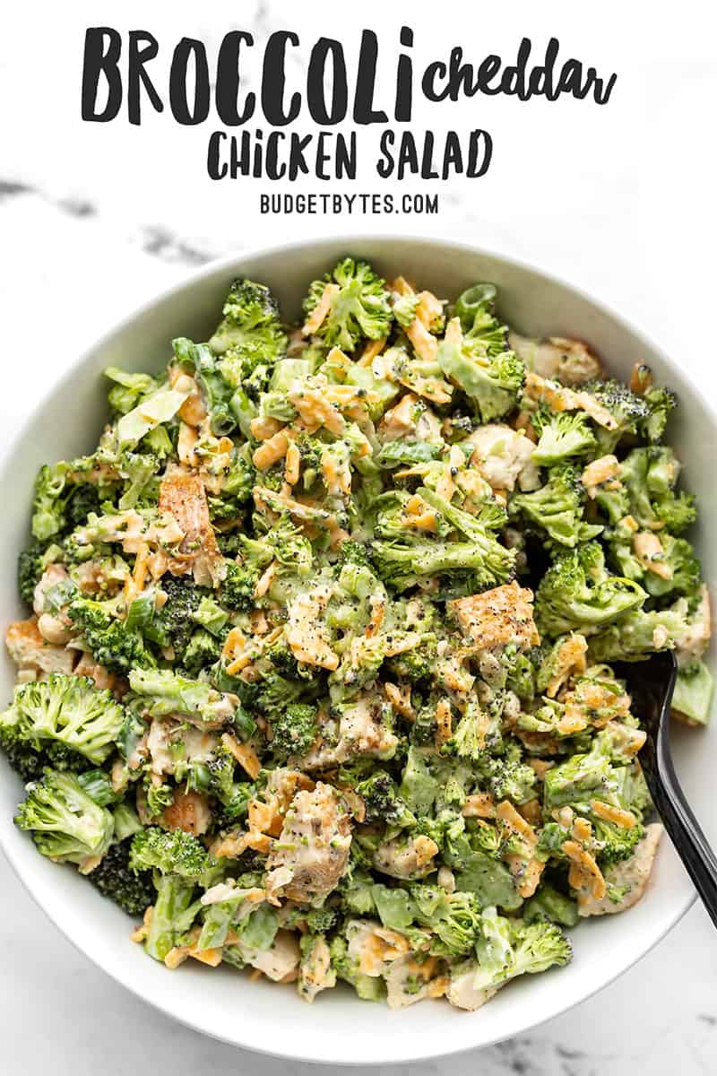 Overhead view of a bowl full of broccoli cheddar chicken salad with title text at the top