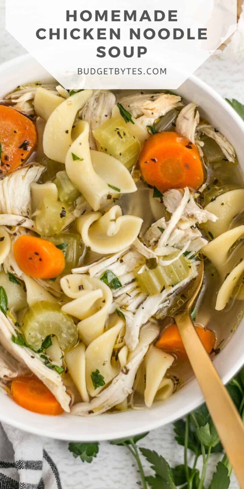 Close up of a bowl of chicken noodle soup, title text at the top