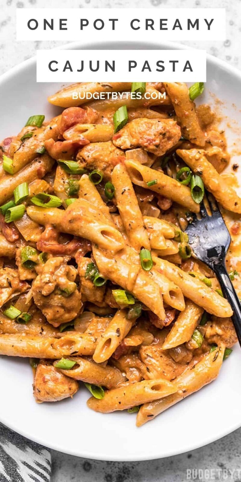 overhead view of a bowl of cajun chicken pasta