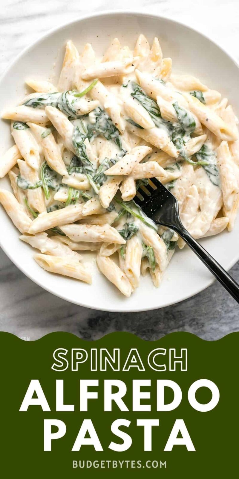 Overhead view of a bowl of spinach alfredo pasta.